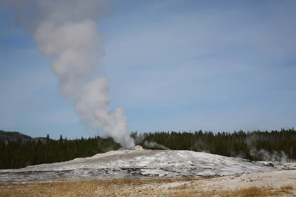 Old Faithful Geyser Mellan Utbrott Med Skogen Bakgrunden — Stockfoto