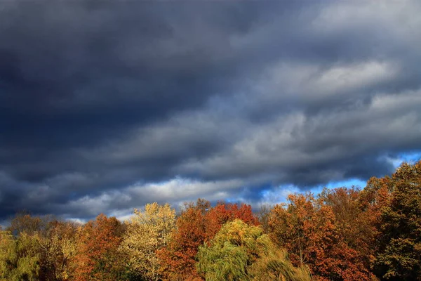 Árboles Nubes Tormenta Antecedentes Nubes Tormenta Oscura Pesada Sobre Bosque —  Fotos de Stock