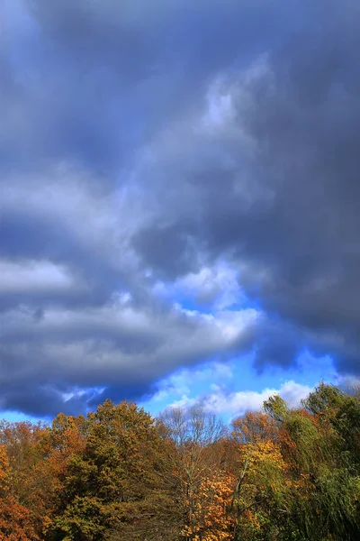 Δέντρα Και Σύννεφα Καταιγίδας Φόντο Βαριά Μαύρα Σύννεφα Πάνω Από — Φωτογραφία Αρχείου