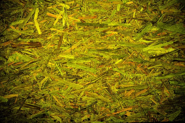 Зелений абстрактний фон органічної текстури Ліцензійні Стокові Зображення