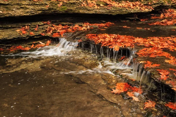 Creek à l'automne — Photo