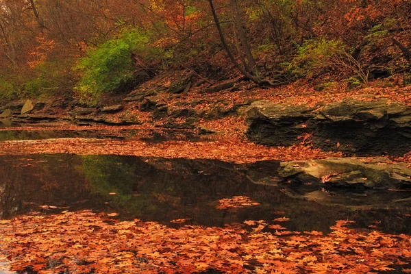 Fall colors over a creek — Stock Photo, Image