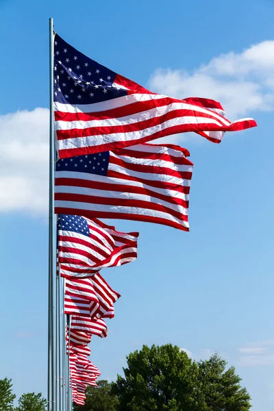 Wiele Stanów Zjednoczonych flag — Zdjęcie stockowe