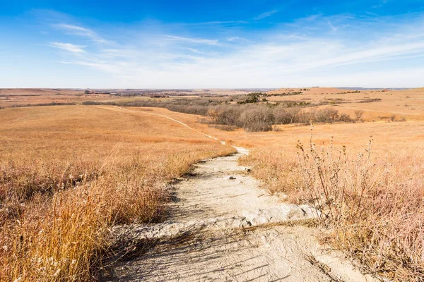 Camino a través de una pradera de Flint Hills — Foto de Stock