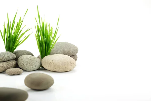 Pedra Zen com grama fresca — Fotografia de Stock