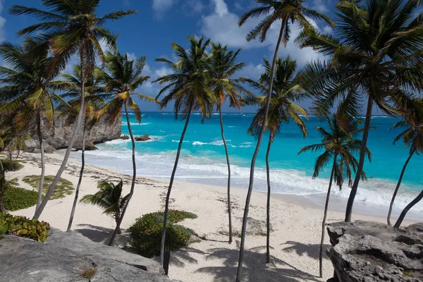 Untere Bucht ist einer der schönsten Strände der Karibik — Stockfoto