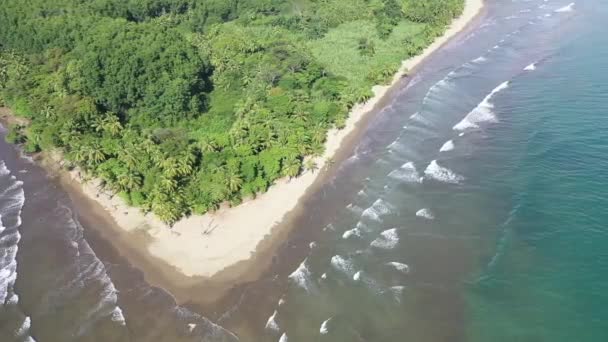 Nationaal Park Uvita Costa Rica — Stockvideo