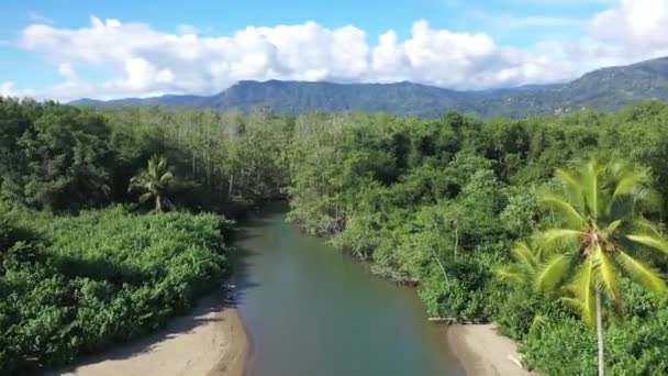 Uvita National Park Costa Rica — Stock Video