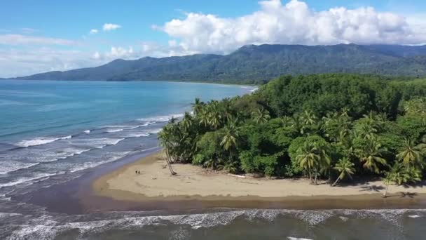 Park Narodowy Uvita Kostaryka — Wideo stockowe
