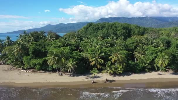Park Narodowy Uvita Kostaryka — Wideo stockowe