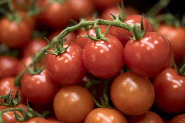 Vente Tomates Sur Marché — Photo