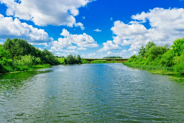 Fluss im Sommer lizenzfreie Stockbilder