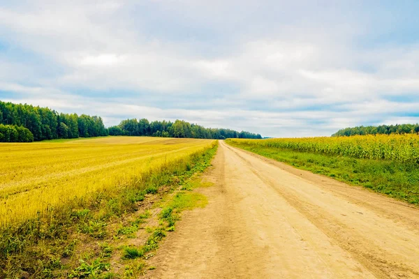 Road in the field — Stock Photo, Image