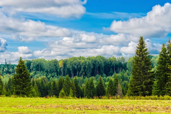 Campo e floresta — Fotografia de Stock