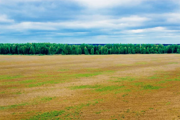 Plowed field and forest — Stock Photo, Image