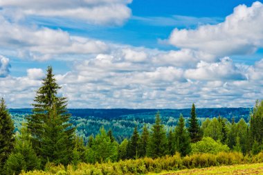 yakın ve uzak woods