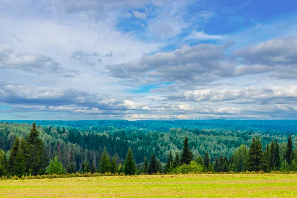 Nahe und ferne Wälder — Stockfoto