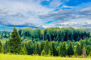 yakın ve uzak woods