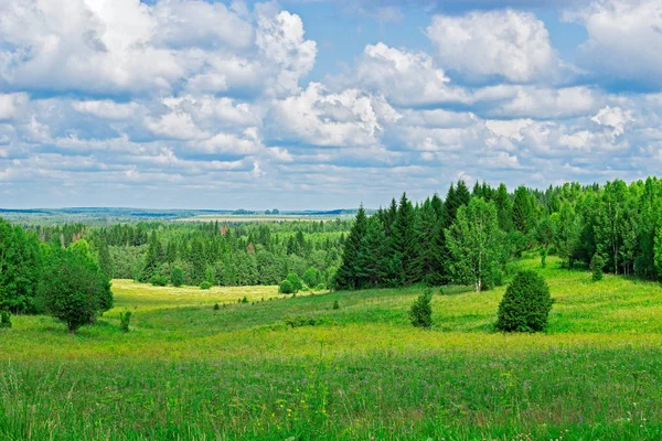 Äng och skog — Stockfoto