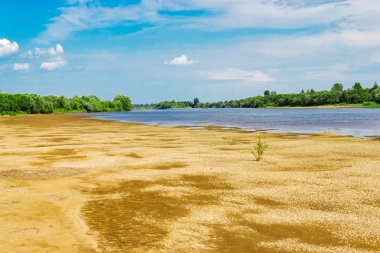 Yaz aylarında nehir plaj