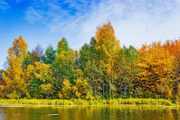 Göl kenarındaki sonbahar ormanı
