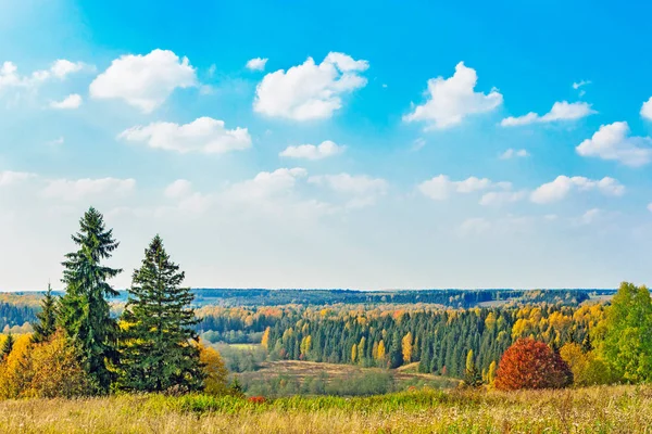 Paisagem florestal de outono — Fotografia de Stock