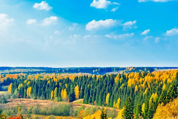 Otoño bosque paisaje — Foto de Stock