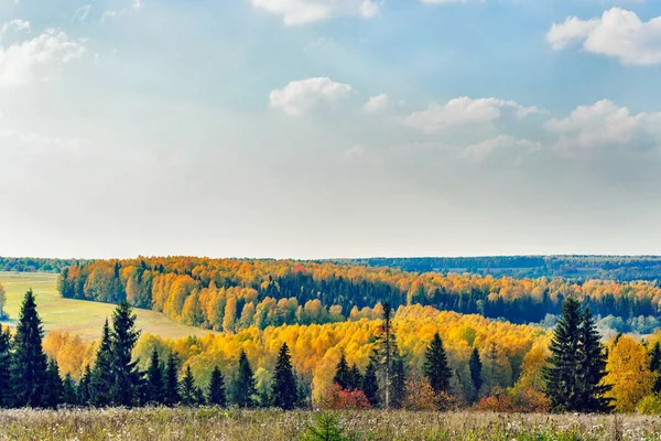 Herbstliche Waldlandschaft — Stockfoto
