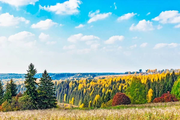 Herbstliche Waldlandschaft — Stockfoto