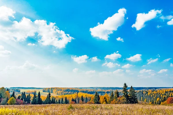 Podzimní Lesní krajina — Stock fotografie