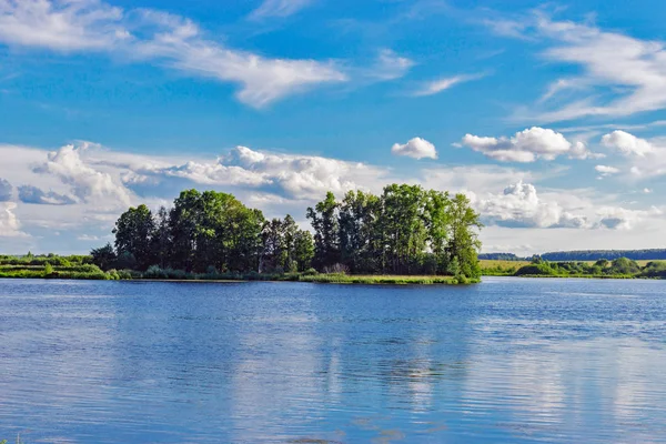 Lac et forêt — Photo