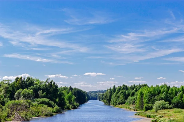 Río y bosque — Foto de Stock