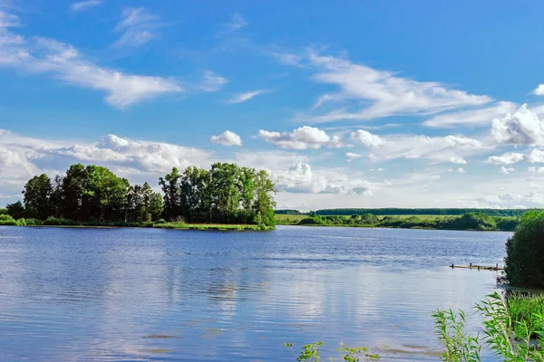 Lake and forest — Stock Photo, Image