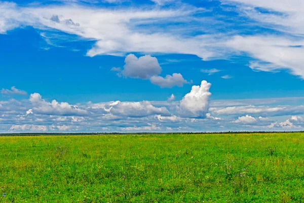 Campo y cielo — Foto de Stock