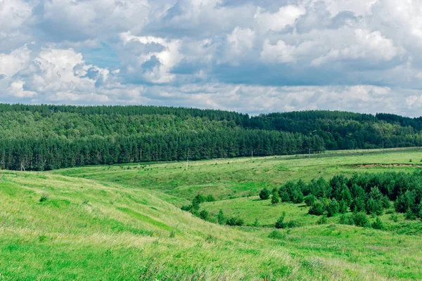 Feld und Himmel — Stockfoto