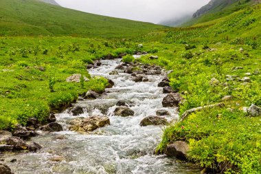 Dağ deresi yeşil bir vadide taşların üzerinden akıyor.