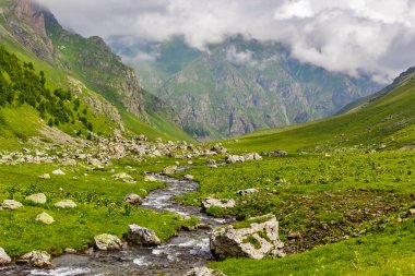 Dağ deresi yeşil bir vadide taşların üzerinden akıyor.