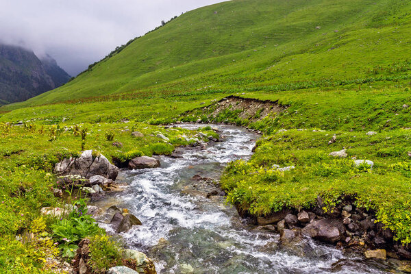 горный поток течет над камнями в зеленой долине
