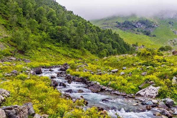 Arroyo de montaña fluye sobre piedras en un valle verde — Foto de Stock