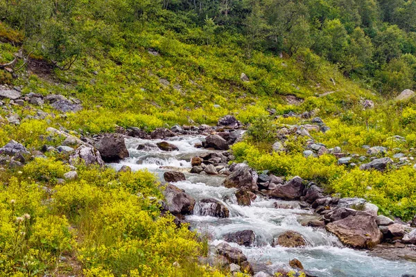 Horský potok teče přes kameny v zeleném údolí — Stock fotografie