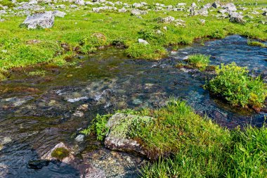 Dağ deresi yeşil bir vadide taşların üzerinden akıyor.