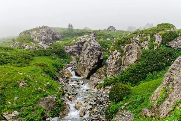 Горный поток течет над камнями в зеленой долине — стоковое фото