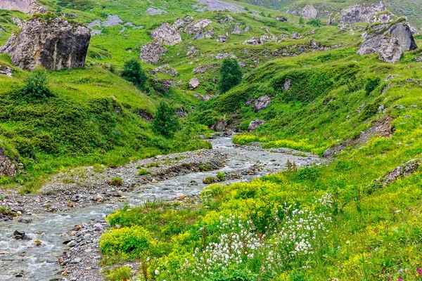 Hegyi patak folyik át kövek egy zöld völgyben — Stock Fotó