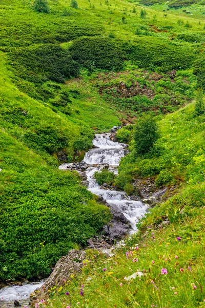 Fjellbekk renner over steiner i en grønn dal – stockfoto