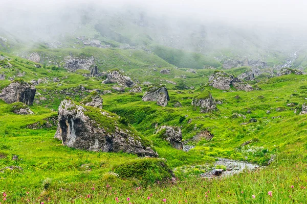 Долина в горах Кавказа в туманный день — стоковое фото