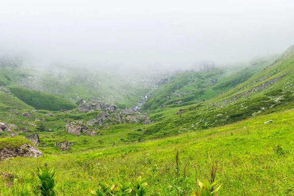 Valle en las montañas del Cáucaso en un día nublado — Foto de Stock