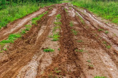 Bulutlu bir yaz gününde kırsal alanda toprak yol