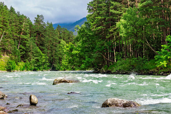 bolshoy zelenchuk river in the caucasus mountains on a summer day