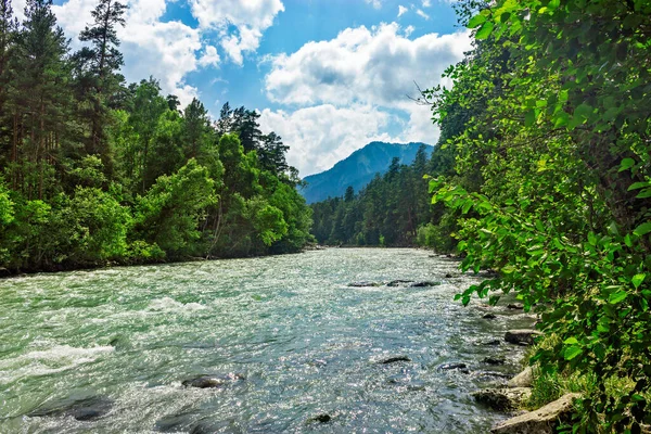 Bolshoy fiume zelenchuk nelle montagne del caucaso in una giornata di sole — Foto Stock
