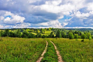 Güneşli bir yaz gününde tarlada toprak yol
